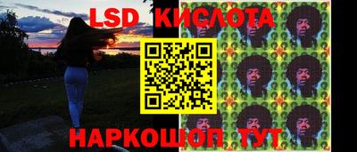 стаф Донской