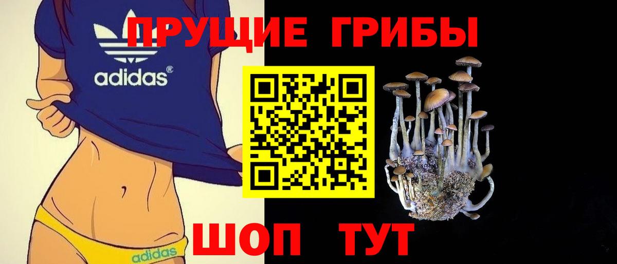 Псилоцибиновые грибы мухоморы Магадан